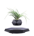 Bonsái de Levitación Magnética con Plantas Artificiales