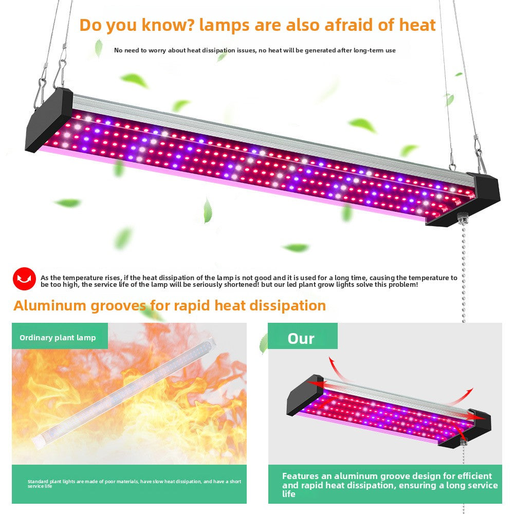 Lámpara LED de Espectro Completo para Plantas – Suculentas, Verduras, Invernadero y Semilleros