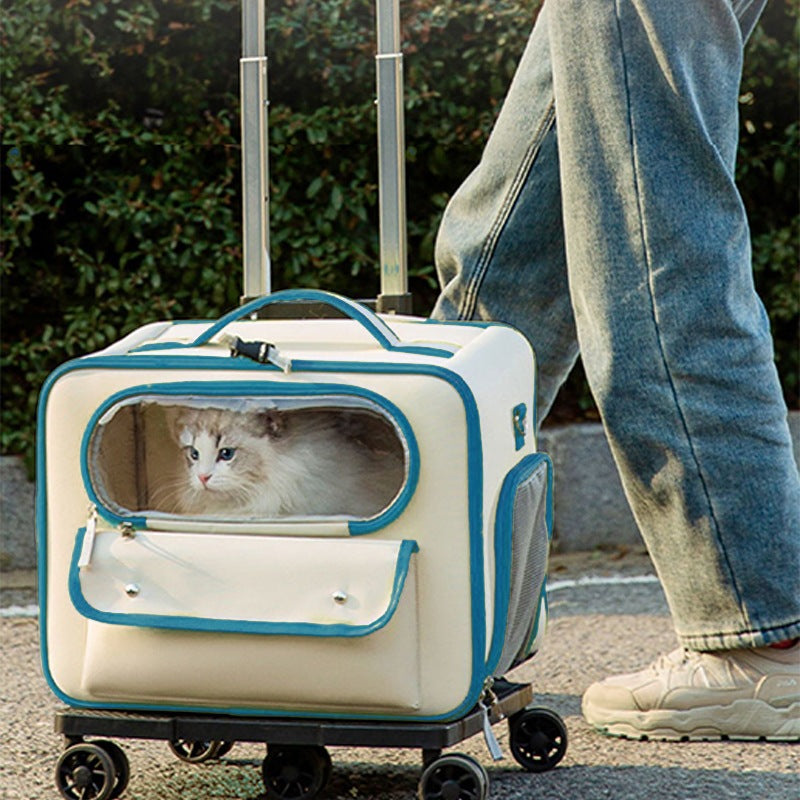 Mala Portátil Multifuncional para Transporte de Animais de Estimação