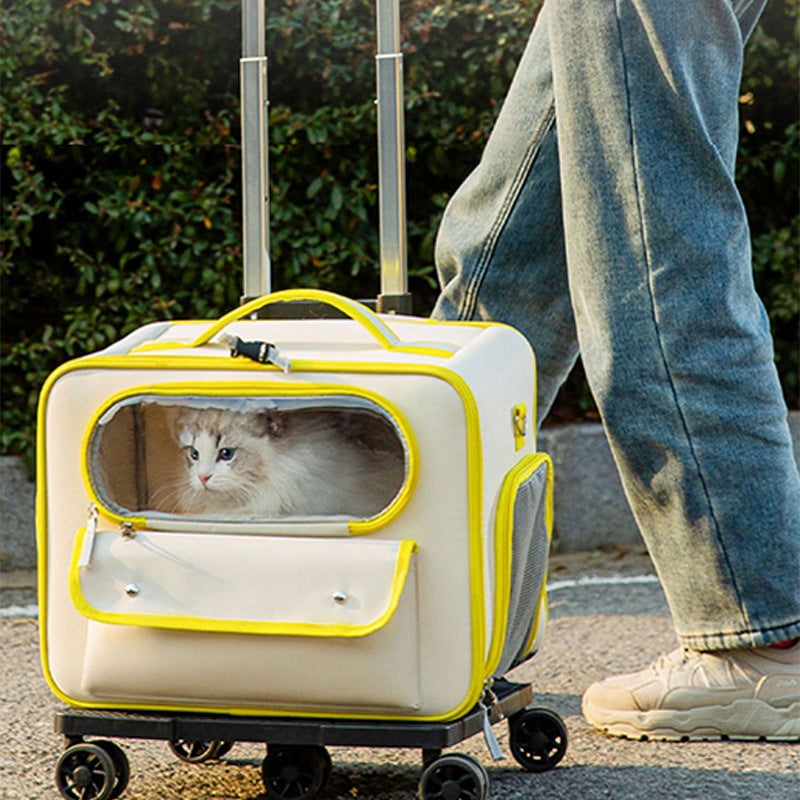 Mala Portátil Multifuncional para Transporte de Animais de Estimação